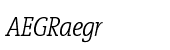 Vigor DT Condensed Light Italic