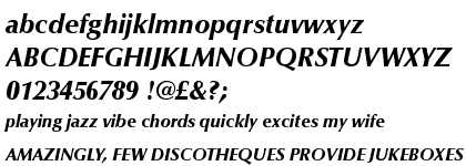 Optima™ Black Italic