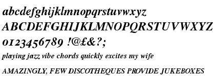 Times™ Bold Italic OsF