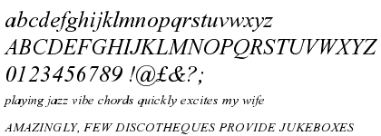 Times New Roman® PS Italic