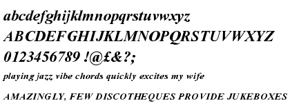 Times New Roman® PS Bold Italic