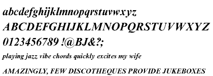 Times New Roman® Cyrillic Bold Inclined MT