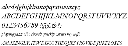 Garamond Premier Pro Medium Italic Subhead