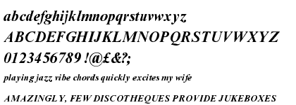 Times New Roman® Bold Italic