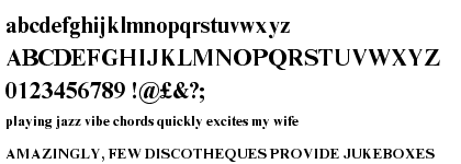 Times New Roman® Pro Bold