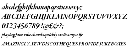 Garamond Premier Pro Bold Italic Display