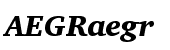 Charter Black Italic OSF