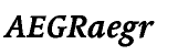 Linotype Syntax&trade; Serif Bold Italic OsF