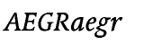 Linotype Syntax&trade; Serif Medium Italic