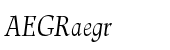 Renner&trade; Antiqua Pro Display Italic