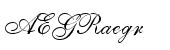 Shelley&trade; Script Allegro