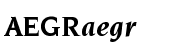 ITC Novarese&trade; Bold Italic