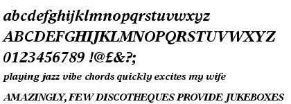 Times Europa™ Bold Italic