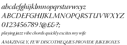 Warnock™ Pro Italic Display