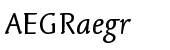 Linotype Syntax&trade; Letter Regular Italic OsF