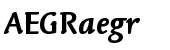 Linotype Syntax&reg; Letter Com Bold Italic