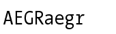 TheSans Mono Condensed Regular