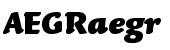 Linotype Syntax&trade; Letter Black Italic