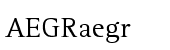 Rotis Serif Std 55 Regular