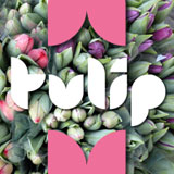 Tulip from ArtyType