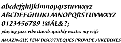 Barbedor CE Heavy Italic