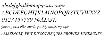 Baskerville Handcut CE Regular Italic