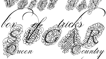 Calligraphia Latina Mixed