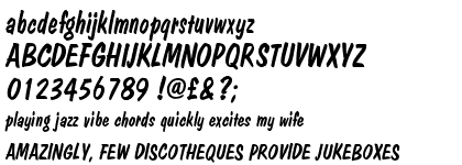 Dom Casual Regular Italic (D)