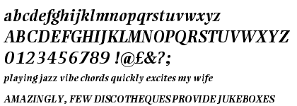 Ellington&reg; Pro Bold Italic