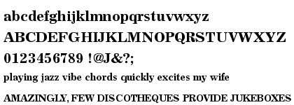 Excelsior&trade; Cyrillic Bold