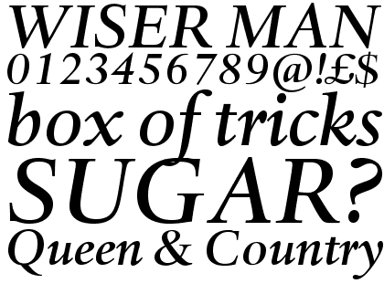 Haarlemmer&trade; Pro Medium Italic