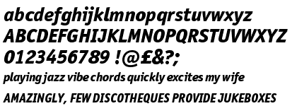 ITC Officina&trade; Pro Sans Extra Bold Italic