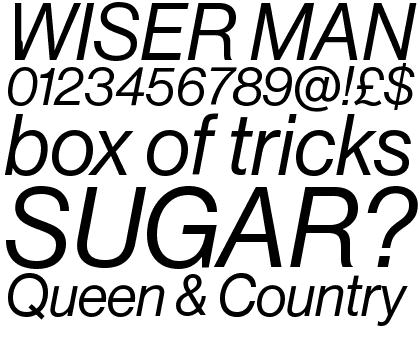 Neue Haas Grotesk Pro Display TTF 56 Italic