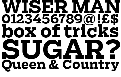 Salvo Serif Bold