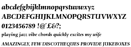 Schneider-Antiqua Bold Italic