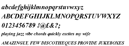 Times New Roman&reg; Bold Italic ESQ