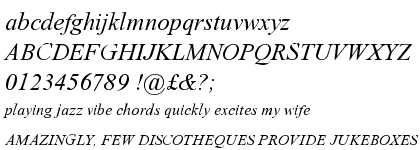 Times New Roman&reg; Italic ESQ