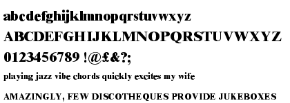 Times New Roman&reg; Pro Extra Bold