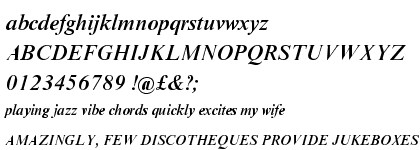 Times New Roman&reg; Pro Medium Italic