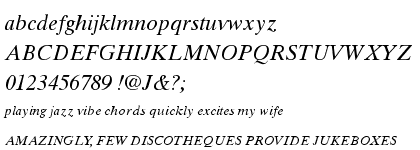 Times&trade; Ten Cyrillic Italic